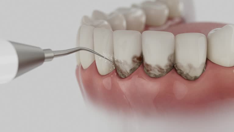 Reliable Dental contractor in Mahanoy City, PA by Dentist Open Now